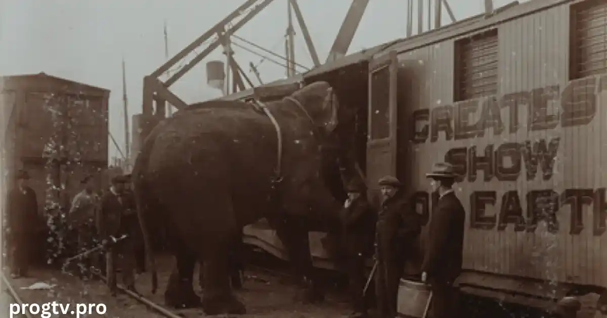 Titre : La Tragique Histoire de Fritz l'ÉléphantHeure de Diffusion : 06h50